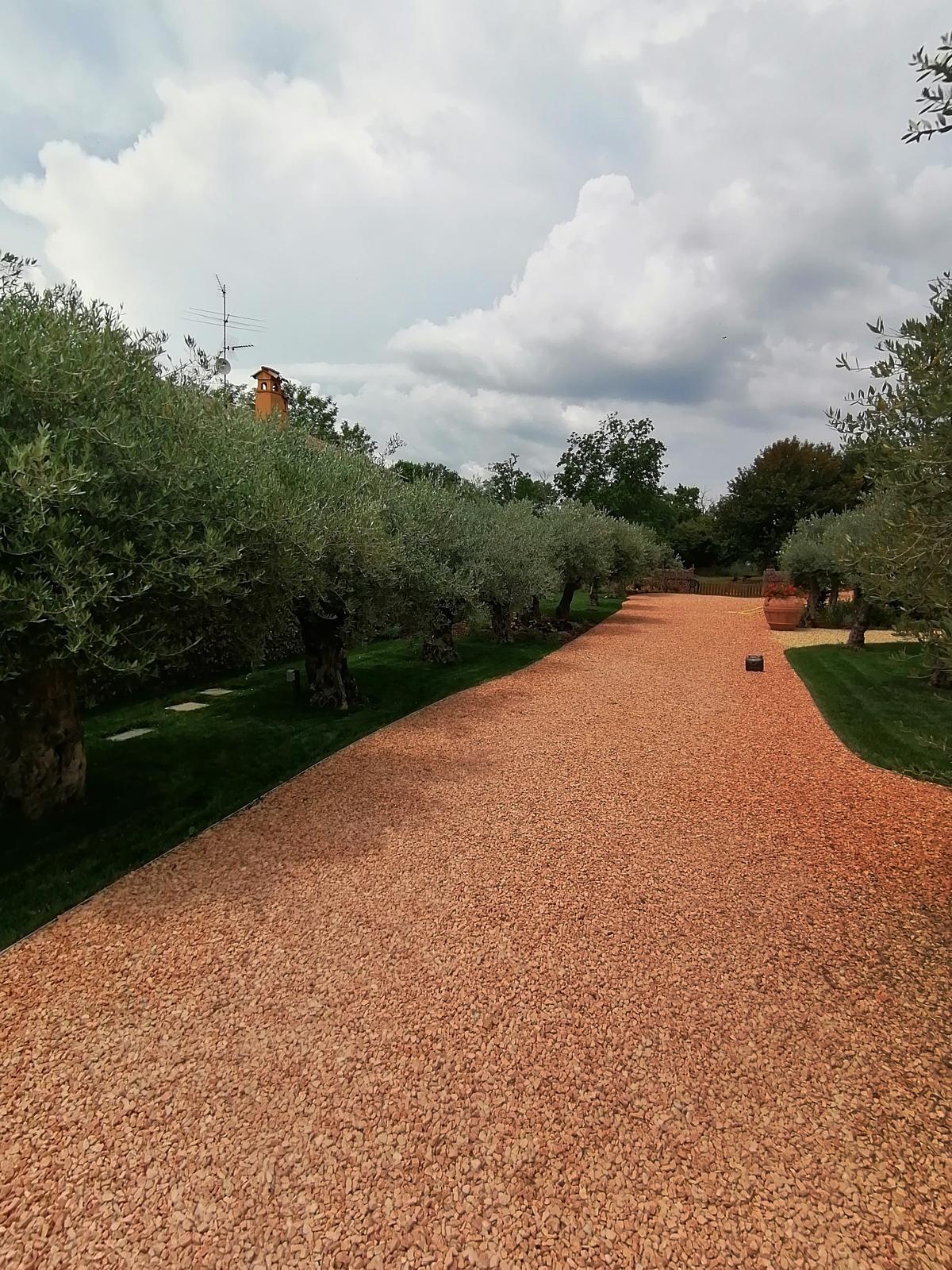 Manutenzione del Verde